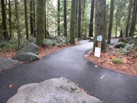 Start of Streamwatch Trail – paved surface – lip on each side of trail – natural surface on the side of trail